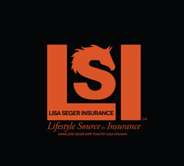 LSI_V10